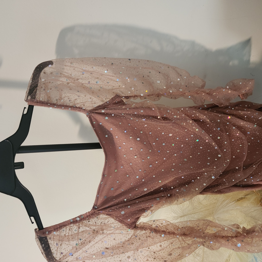 Shimmering Sheer Dress with Sequins